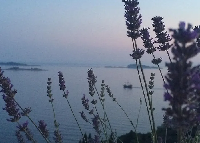 Hébergement de vacances Infinity Blue